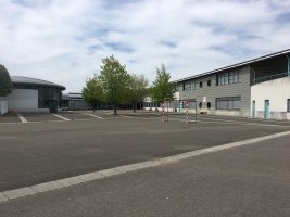La cour